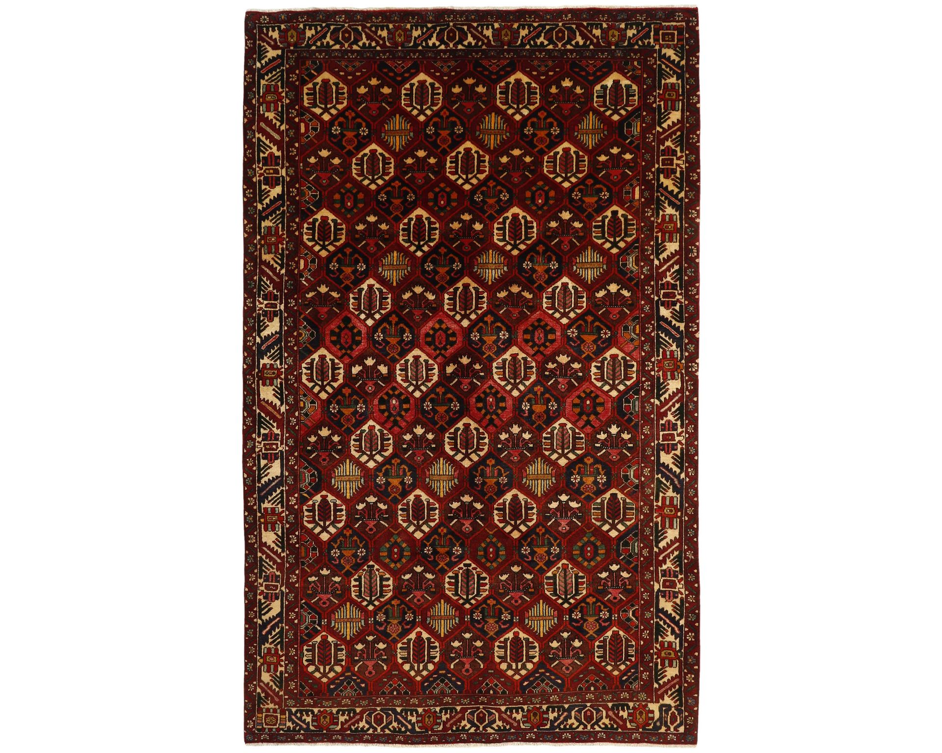 Bakhtiyar itämainen matto 200 x 320 cm