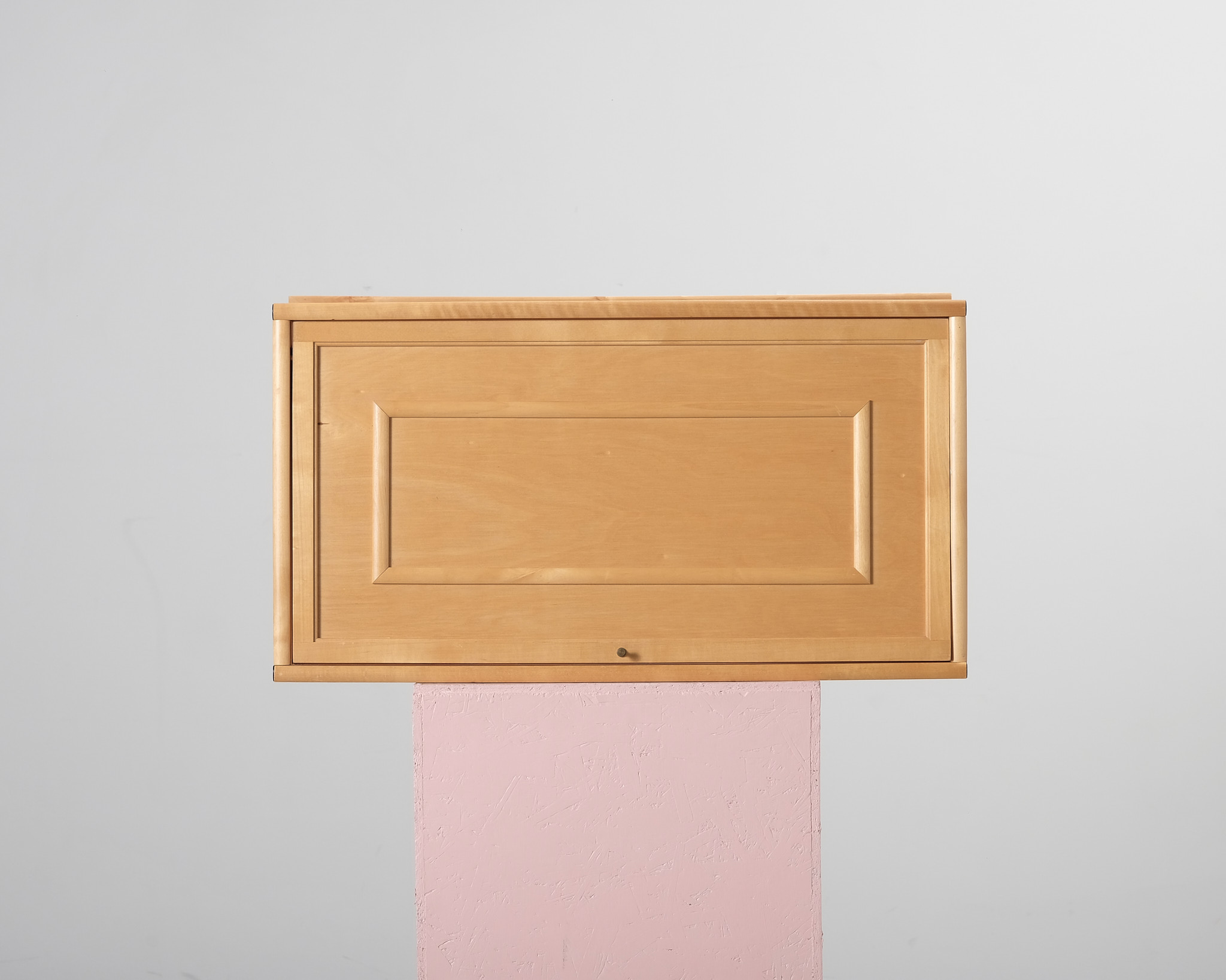 Boknäs pärmvitrin med trädörr H47, D39 cm