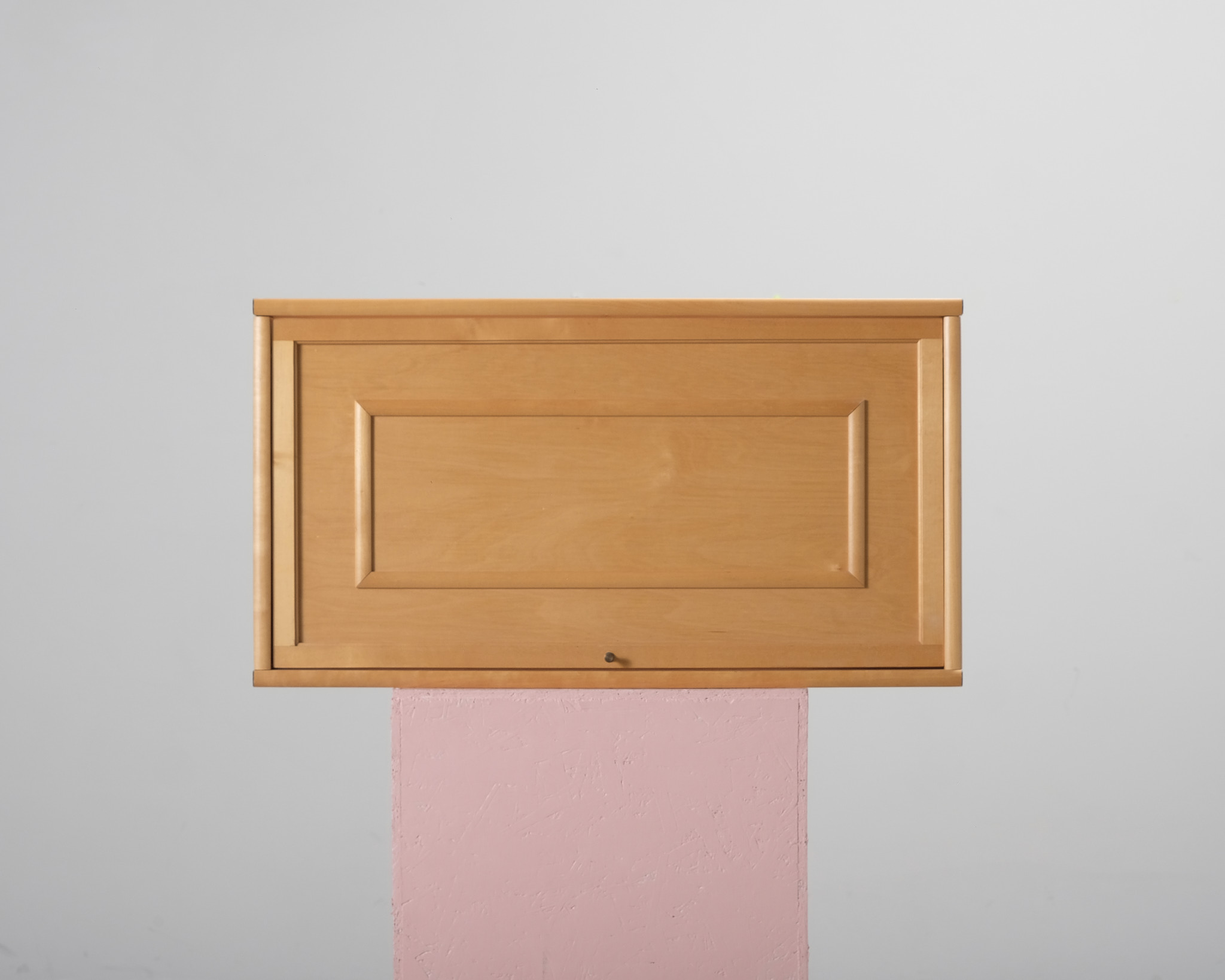 Boknäs pärmvitrin med trädörr H47, D39 cm