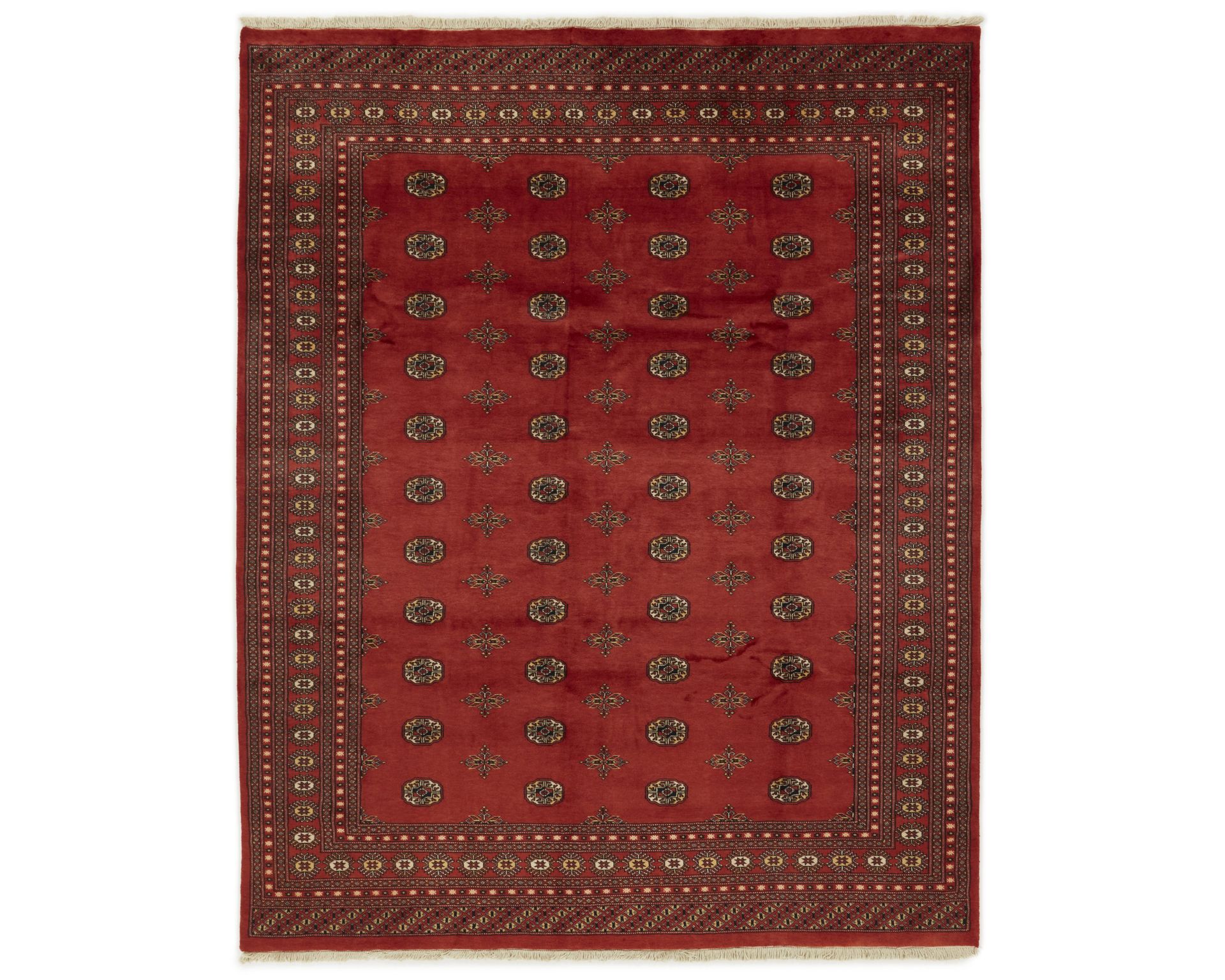 Pakistan handknotted itämainen matto 245 x 305 cm